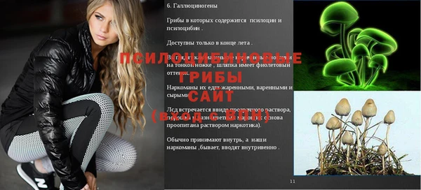 твердый Алзамай