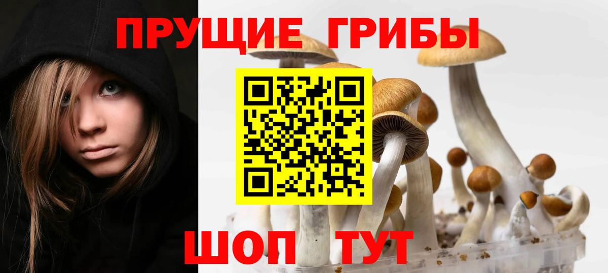 Псилоцибиновые грибы мухоморы Карпинск