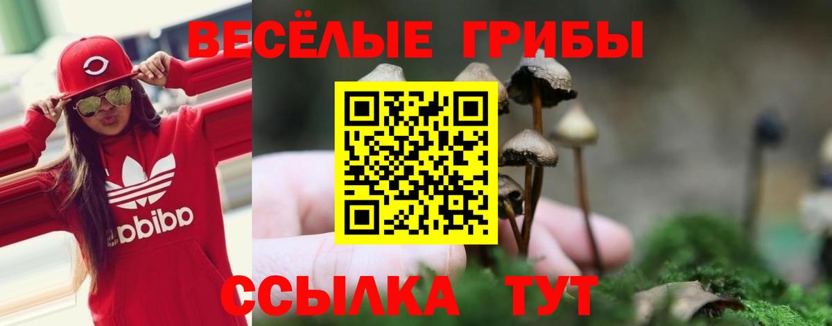 Псилоцибиновые грибы мухоморы  Галлюциногенные грибы Cubensis  Карпинск  Вход с VPN 